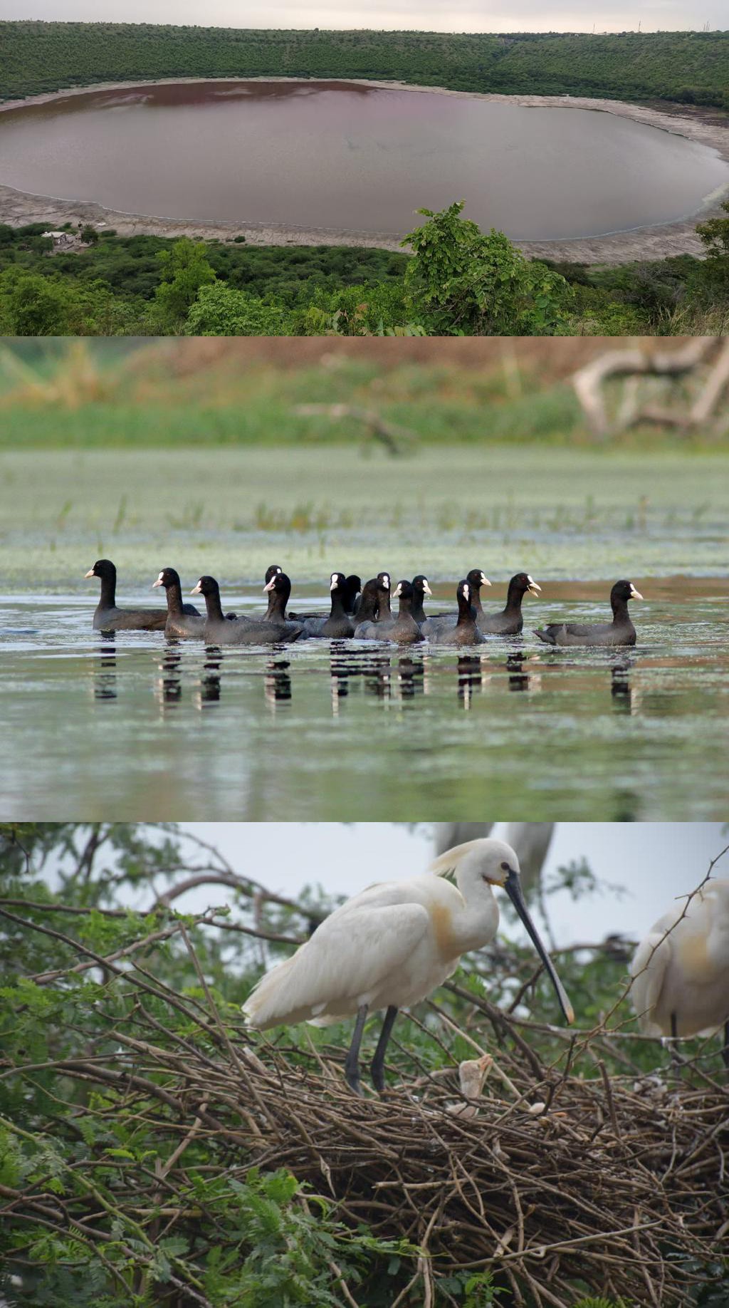 India has added two more Ramsar sites.