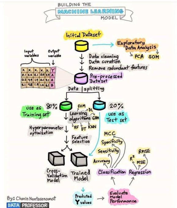 Building Machine Learning Model