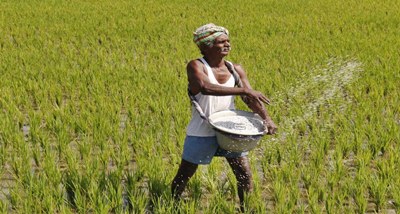 Farm Reform Acts aim to transform agriculture sector & enhance farmers&rsquo; income