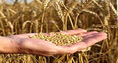 Centre asks States and UTs to include all eligible disabled persons under National Food Security Act