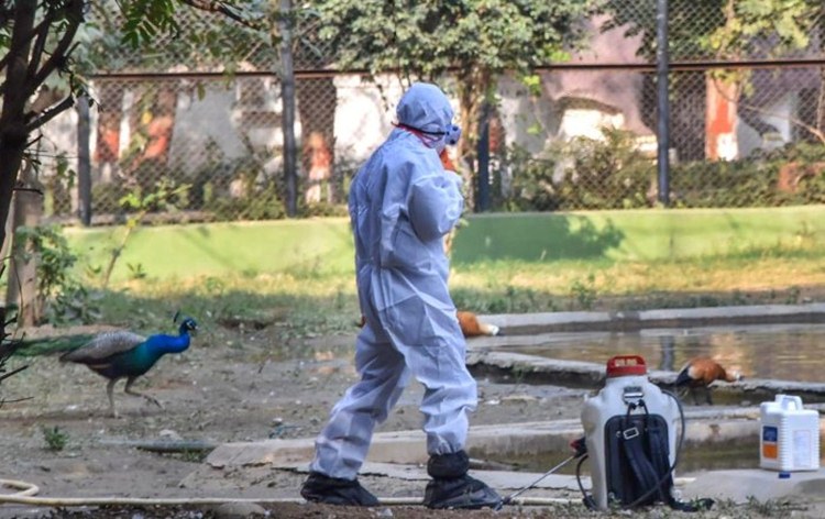 Centre sends multi-disciplinary experts team to Kerala and Haryana to oversee Avian Influenza containment operations